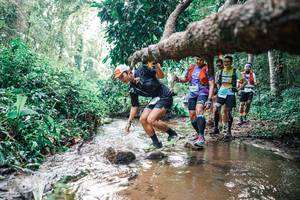 BIB: 
                            <button type="button" onclick="openModal(25373073)" class="btn btn-primary btn-sm float-right btn-popup" data-toggle="modal" data-target=".modal-high-quality">
                        <i class="fas fa-shopping-cart"></i> Add to Cart
                    </button>
                                            <button type="button" onclick="isThisMe(25373073, true)" class="btn btn-success btn-sm float-right btn-popup btn-isme hidden" data-toggle="tooltip" data-placement="bottom" title="นี่คือรูปของคุณใช่ไหม คลิกที่นี่เพื่อเอาเข้าอัลบั้ม">
                        <i class="fas fa-plus"></i> Add to album
                    </button>
                    <button type="button" onclick="isThisMe(25373073, false)" class="btn btn-warning btn-sm float-right btn-popup btn-isnotme hidden">
                        <i class="fas fa-ban"></i> Remove from album
                    </button>